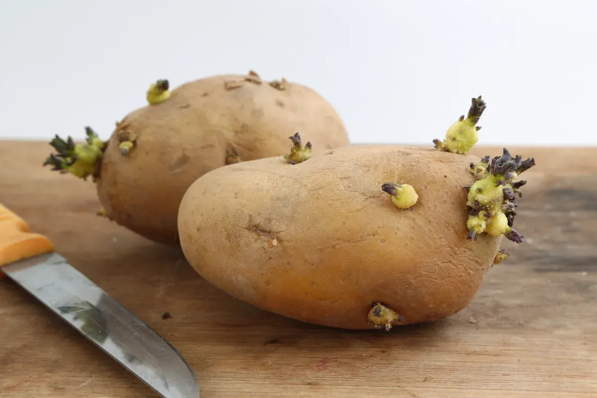 Kartoffeln einfrieren: so bleiben sie länger frisch