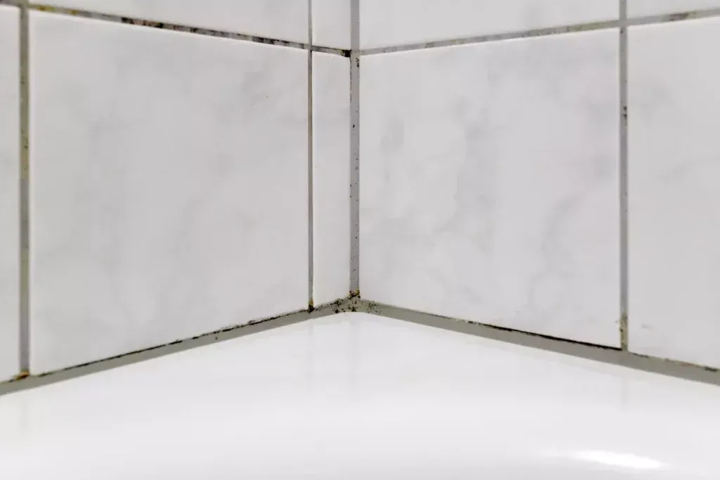 Schwarzer Schimmel im Bad: Gefahren und Lösungen